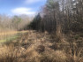 Photo of    +/-1.15 acres Lincoln Heights 